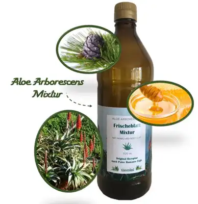 Aloe Arborescens Mixtur mit Aloe Blättern, Honig und Zirbenschnaps