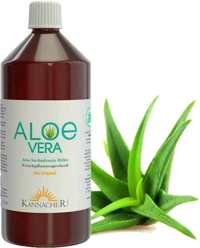 Aloe Vera Saft - klar (1000 ml)