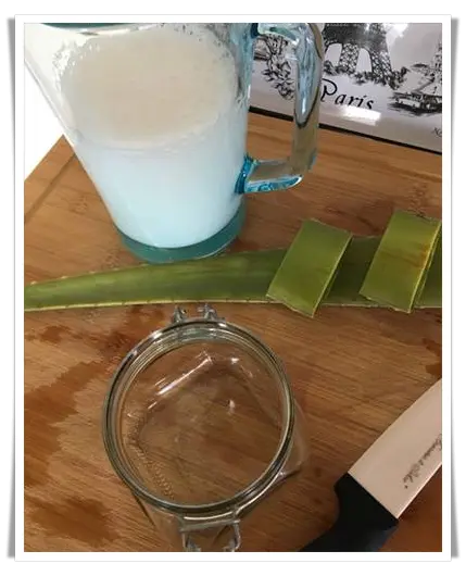 Aloe Vera Blattgel, dass schaumig gemixt wurde in einem Glas