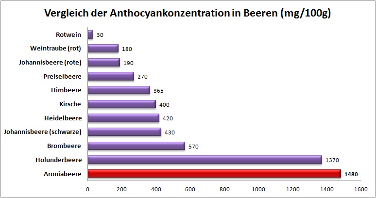 Tabelle über den Vergleich der Konzentration von Anthocyan in diversen Beeren im Gegensatz zu zB Weintrauben, Kirschen, Heidelbeeren oder Brombeeren