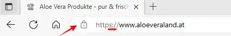 SSL-Verschlüsselung Anzeige im Browser