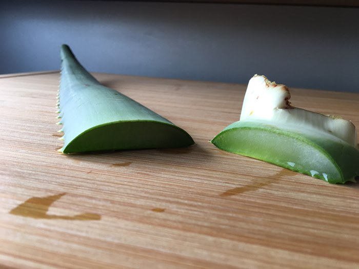 Aloe Arborescens Frischeblatt Zubereitung - Anschnitt trennen