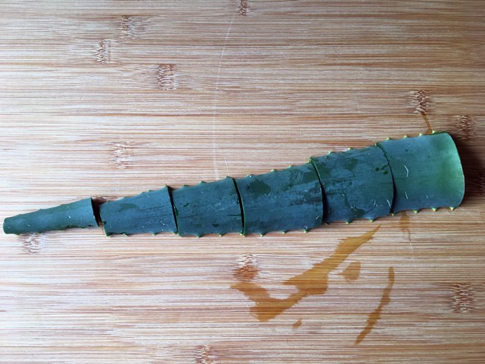 Aloe Arborescens Frischeblatt geschnitten