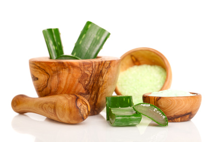 Aloe Vera Pflanze - Inhaltsstoffe Inhaltsstoffe der Aloe Vera Pflanze