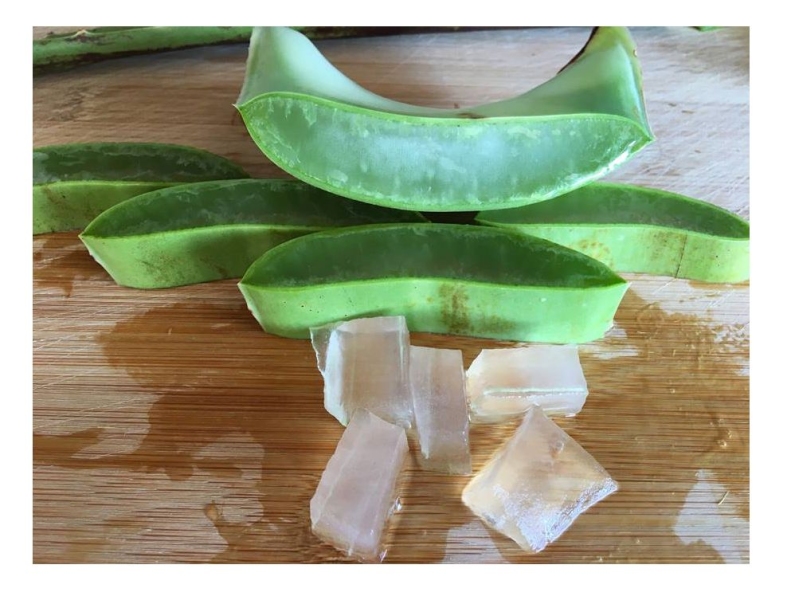 Aloe Vera Würfelstücke