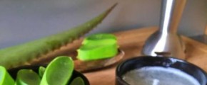 Aloe Vera - Gel (Hautgel)