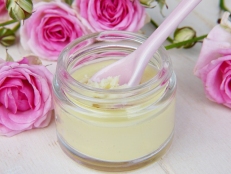 Aloe Vera - Creme