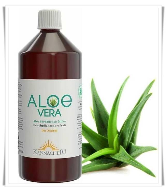 Aloevera Saft (1000 ml) von Pflanzen aus biologischem Anbau