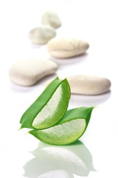 Aloe Vera Getränk - 1x Aloe Vera Saft (aus Brasilien) + 1x Aloe Vera Hautgel "natur"