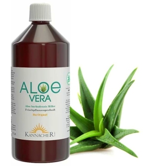 Aloe Vera Getränk - 2x Aloe Vera Saft (Brasilien und Mexiko)