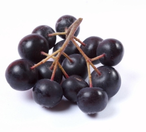 Aronia juice (125 ml)  filled into glass bottles