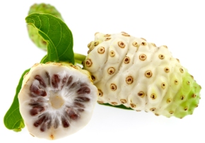 Noni fruit or also called Indian mulberry